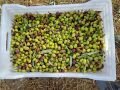 Yeşil Çizme Zeytin 1.250 Gr