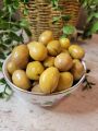 Yeşil Kırma Zeytin 1.250 Gr